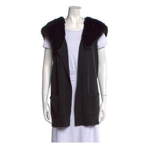 Theory hooded vest